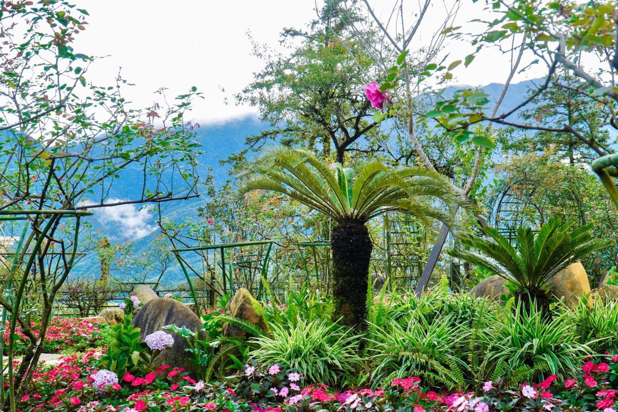 Sapa Highland Resort & Spa Dış mekan fotoğraf