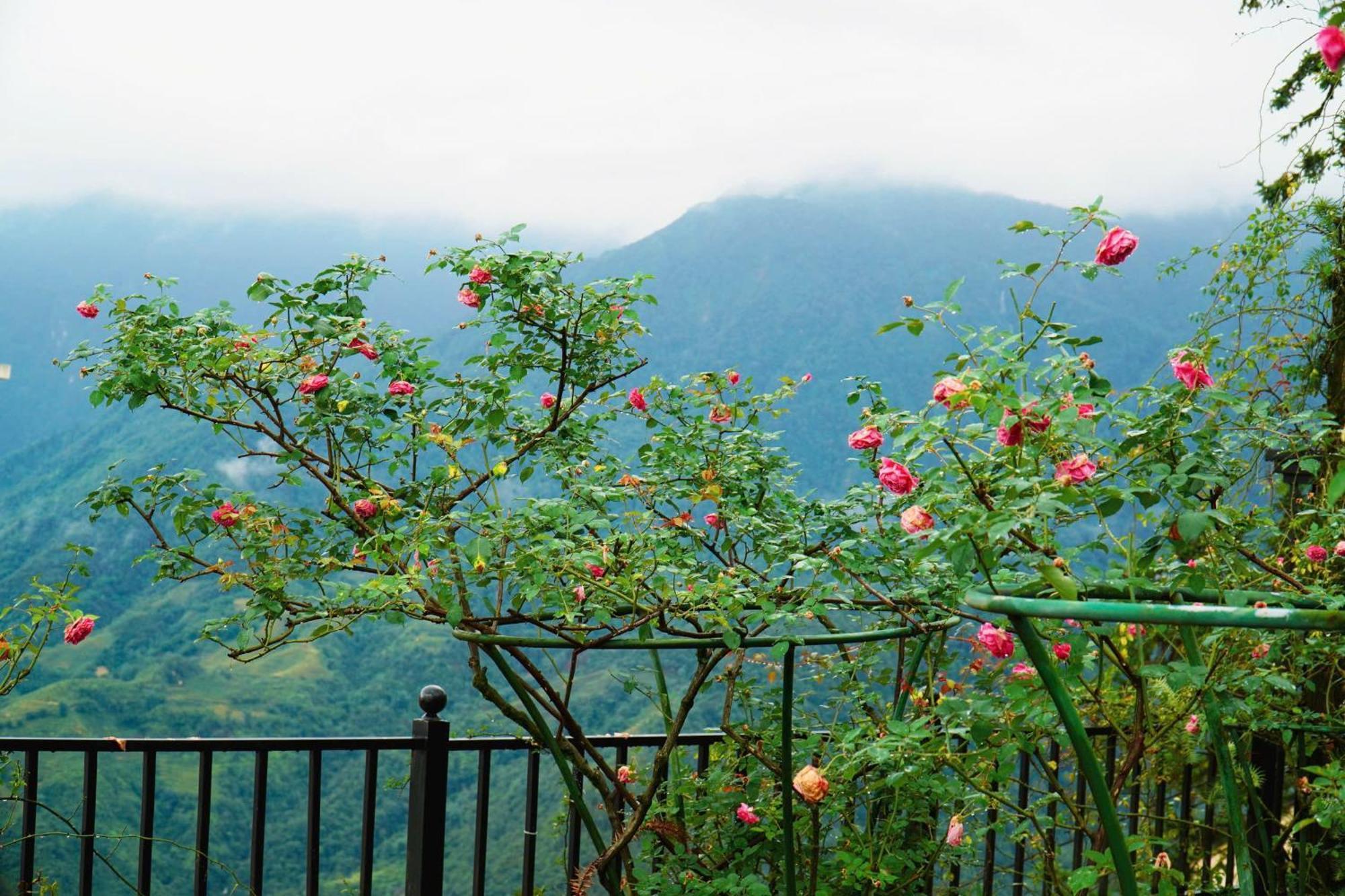 Sapa Highland Resort & Spa Dış mekan fotoğraf